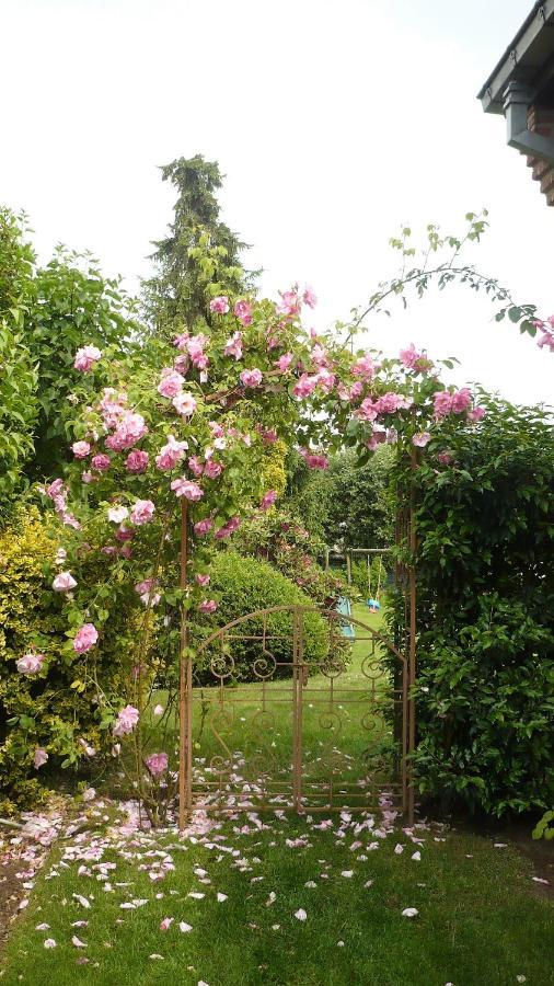 B&B Vanderstraeten-Bryxis Grimbergen Exteriör bild